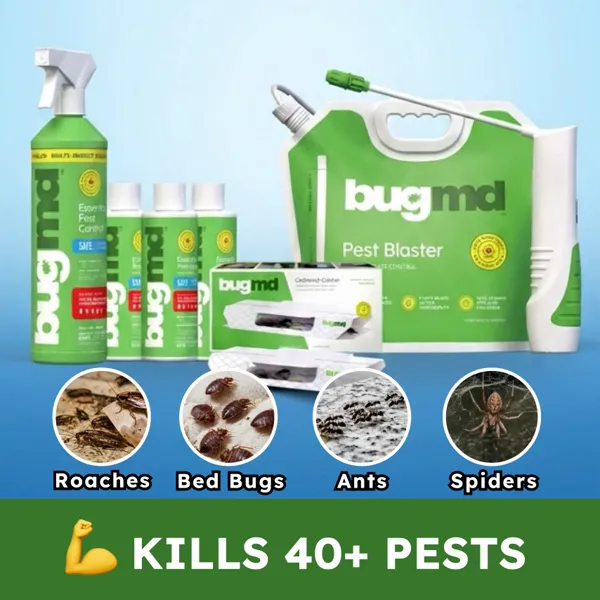 BugMD spray, refills and roach traps, with icons for roaches, bed bugs, ants and spiders labeled "Kills 40+ Pests"