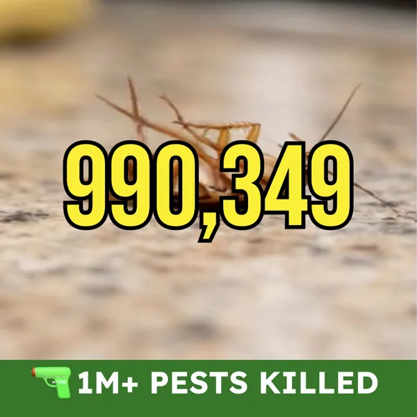 A dead roach with the number 990,349 overlaid, tracking toward BugMD's 1,000,000+ pest kill counter