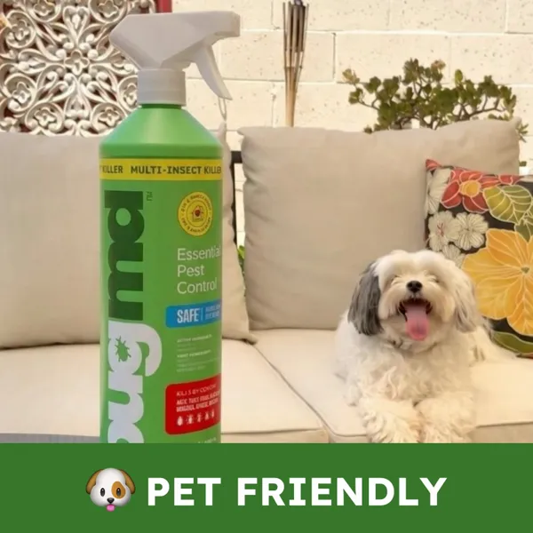 A dog relaxing on a couch beside a bottle of BugMD spray, labeled "Pet Friendly"