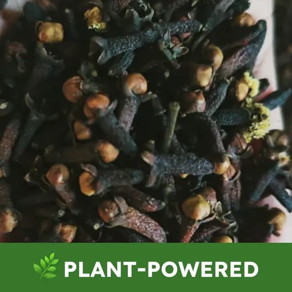 BugMD's plant-powered formula, made with clove and cottonseed oils instead of traditional pesticides